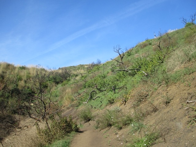 walking on campus at sunset
